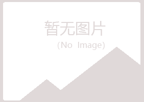 泰安泰山埋没化学有限公司